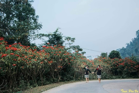 Tour Vườn Quốc Giá Xuân Sơn Kinh Nghiệm Du Lịch 2026